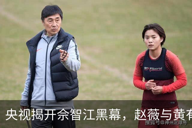 央视揭开佘智江黑幕，赵薇与黄有龙离婚背后真相引发关注